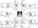 Fig. 09 - SYSTEMS AND METHODS FOR VOLUME-BASED ULTRASOUND GUIDANCE AND IMAGE ANALYSIS