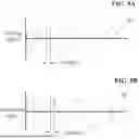 Fig. 09 - MOTION DETECTION USING PING-BASED AND MULTIPLE APERTURE DOPPLER ULTRASOUND