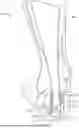 Fig. 01 - MINIMALLY INVASIVE SURGICAL METHOD FOR HAGLUND'S DEFORMITY AND PARATENON PRESERVATION