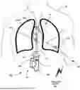 Fig. 01 - THORACIC ACCESS TUNNELING TOOL WITH LIGHT EMITTER FOR VISIBILITY
