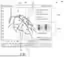 Fig. 08 - CO-REGISTRATION OF INTRAVASCULAR DATA AND MULTI-SEGMENT VASCULATURE, AND ASSOCIATED DEVICES, SYSTEMS, AND METHODS