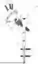Fig. 01 - BONE PRESERVING ANATOMIC HIP ARTHROPLASTY SYSTEM