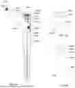 Fig. 33 - BONE PRESERVING ANATOMIC HIP ARTHROPLASTY SYSTEM