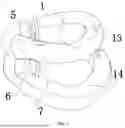 Fig. 02 - FAST ADJUSTABLE CERVICAL COLLAR