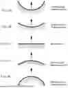 Fig. 22 - INTERFACING STRUCTURE FOR EYEWEAR