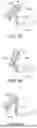 Fig. 40 - INTERFACING STRUCTURE FOR EYEWEAR