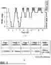 Fig. 02 - DRIVING METHOD OF THERMAL MASSAGE DEVICE FOR STRENGTHENING IMMUNITY