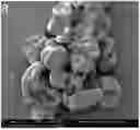 Fig. 01 - METHODS AND COMPOSITIONS FOR SUSTAINED RELEASE MICROPARTICLES FOR OCULAR DRUG DELIVERY