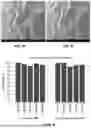 Fig. 06 - METHODS AND COMPOSITIONS FOR SUSTAINED RELEASE MICROPARTICLES FOR OCULAR DRUG DELIVERY