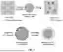 Fig. 07 - METHODS AND COMPOSITIONS FOR SUSTAINED RELEASE MICROPARTICLES FOR OCULAR DRUG DELIVERY