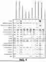 Fig. 06 - METHODS OF PROPHYLAXIS OF CORONAVIRUS INFECTION AND TREATMENT OF CORONAVIRUSES