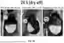 Fig. 09 - COMPOSITIONS AND METHODS OF USE THEREOF FOR PREVENTION OF MASTITIS