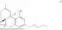 Fig. 02 - Dry Powdered Formulations