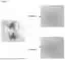 Fig. 02 - PHARMACEUTICAL COMPOSITION FOR TREATING AND/OR PREVENTING RENAL CYSTIC CILIOPATHY