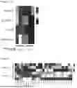 Fig. 09 - PHARMACEUTICAL COMPOSITION FOR TREATING AND/OR PREVENTING RENAL CYSTIC CILIOPATHY