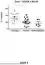Fig. 04 - COMPOSITIONS AND METHODS FOR THE IMPROVEMENT OF MEMORY