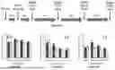 Fig. 07 - COMPOSITIONS AND METHODS FOR THE IMPROVEMENT OF MEMORY