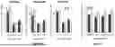 Fig. 08 - COMPOSITIONS AND METHODS FOR THE IMPROVEMENT OF MEMORY