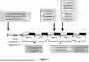 Fig. 09 - COMPOSITIONS AND METHODS FOR THE IMPROVEMENT OF MEMORY