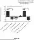 Fig. 28 - COMPOSITIONS AND METHODS FOR THE IMPROVEMENT OF MEMORY