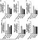 Fig. 01 - PHARMACEUTICAL COMPOSITION CONTAINING B-LAPACHONE AS ACTIVE INGREDIENT FOR PREVENTION OR TREATMENT OF CHOLESTATIC LIVER DISEASE
