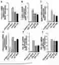 Fig. 04 - PHARMACEUTICAL COMPOSITION CONTAINING B-LAPACHONE AS ACTIVE INGREDIENT FOR PREVENTION OR TREATMENT OF CHOLESTATIC LIVER DISEASE