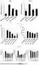 Fig. 06 - PHARMACEUTICAL COMPOSITION CONTAINING B-LAPACHONE AS ACTIVE INGREDIENT FOR PREVENTION OR TREATMENT OF CHOLESTATIC LIVER DISEASE