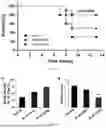 Fig. 07 - PHARMACEUTICAL COMPOSITION CONTAINING B-LAPACHONE AS ACTIVE INGREDIENT FOR PREVENTION OR TREATMENT OF CHOLESTATIC LIVER DISEASE