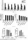 Fig. 09 - PHARMACEUTICAL COMPOSITION CONTAINING B-LAPACHONE AS ACTIVE INGREDIENT FOR PREVENTION OR TREATMENT OF CHOLESTATIC LIVER DISEASE