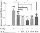 Fig. 01 - PHARMACEUTICAL COMPOSITION AND USE THEREOF