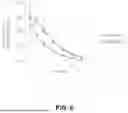Fig. 07 - PARENTERAL COMPOSITIONS OF ZILEUTON AND METHODS OF USE