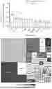 Fig. 01 - METHODS, COMPOSITIONS, KITS AND USES THEREOF TARGETING AND/OR TREATING VRK2 TO ENHANCE EFFECTIVENESS OF IMMUNE CHECKPOINT INHIBITOR(S)