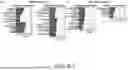 Fig. 08 - TREATING ELEVATED INTRAOCULAR PRESSURE WITH NICOTINAMIDE
