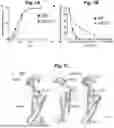 Fig. 02 - COMPOSITIONS AND METHODS FOR TREATING CARDIOMYOPATHIES