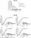 Fig. 07 - COMPOSITIONS AND METHODS FOR TREATING CARDIOMYOPATHIES