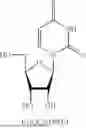 Fig. 367 - PHARMACEUTICAL COMPOSITIONS COMPRISING SUBSTITUTED NUCLEOTIDES AND NUCLEOSIDES FOR TREATING VIRAL INFECTIONS