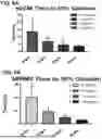 Fig. 07 - ECM HYDROGEL FOR TREATING ESOPHAGEAL INFLAMMATION