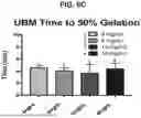 Fig. 08 - ECM HYDROGEL FOR TREATING ESOPHAGEAL INFLAMMATION