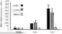 Fig. 01 - ENGINEERED T CELL RECEPTOR CONSTRUCTS FOR CANCER THERAPY