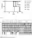 Fig. 12 - ENGINEERED T CELL RECEPTOR CONSTRUCTS FOR CANCER THERAPY