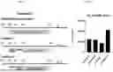 Fig. 45 - Compositions for Drug Delivery and Methods of Use Thereof