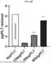 Fig. 85 - Compositions for Drug Delivery and Methods of Use Thereof