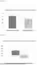 Fig. 02 - METHOD OF PROMOTING RETURN OF ESTRUS IN ANIMAL AND AGENT FOR PROMOTING RETURN TO ESTRUS IN ANIMAL