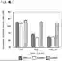 Fig. 06 - ANTI-OBESITY AGENT COMPRISING ENTEROBACTERIA AS ACTIVE INGREDIENT AND METHOD FOR PRODUCING SAME