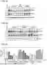 Fig. 09 - ANTI-OBESITY AGENT COMPRISING ENTEROBACTERIA AS ACTIVE INGREDIENT AND METHOD FOR PRODUCING SAME