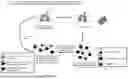 Fig. 02 - ADOPTIVE CELLULAR THERAPY