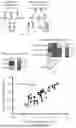 Fig. 09 - LOGIC GATED PROTEIN ACTUATORS