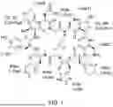 Fig. 02 - ANTICANCER AGENT