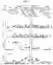 Fig. 02 - COMPOSITIONS AND METHODS FOR TREATING SKIN DISEASES, DISORDERS, AND CONDITIONS