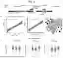 Fig. 03 - COMPOSITIONS AND METHODS FOR TREATING SKIN DISEASES, DISORDERS, AND CONDITIONS